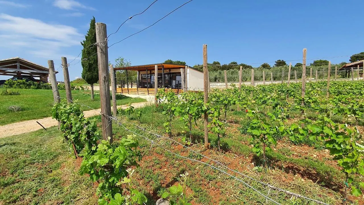 Collis Winery - Family & Friends - Mobilhome Rovinj 0*,  Kroatien